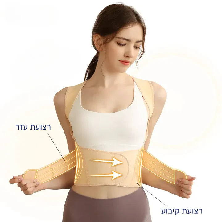 סטפ קאמפורתבלי ארגו אליין - פיתרון פשוט מושלם לשיפור יציבה ותמיכה לגב לאורך כל היום