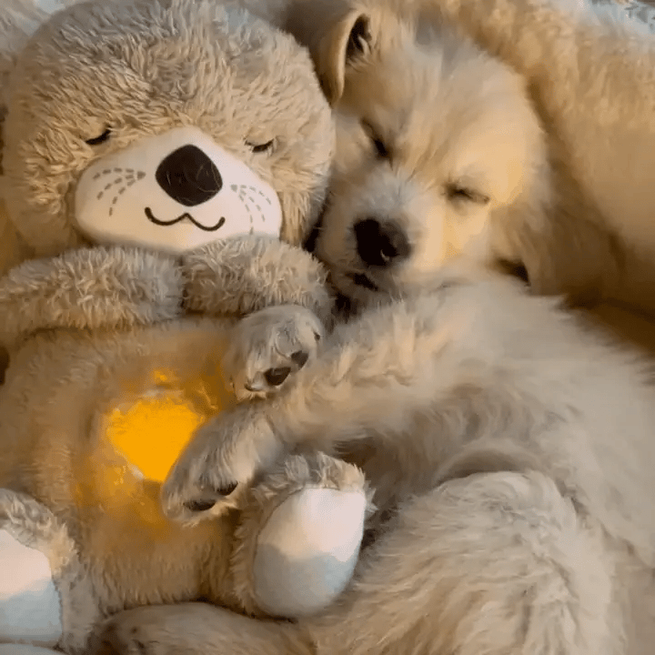 סטפ קאמפורתבלי סנאגל - בובת פרווה רכה המחקה תנועות נשימה להקלה על חרדה ולשינה רגועה